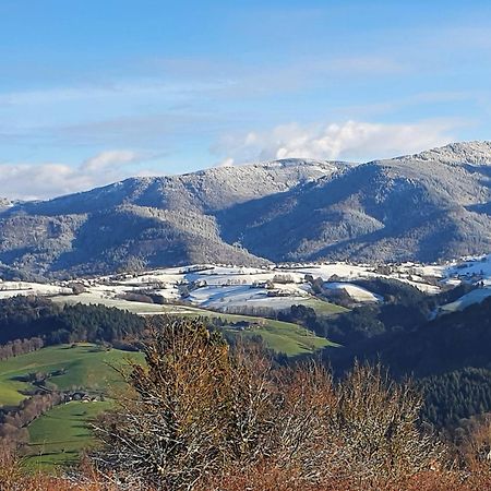 Ferienwohnung Birkental Ebringen エクステリア 写真