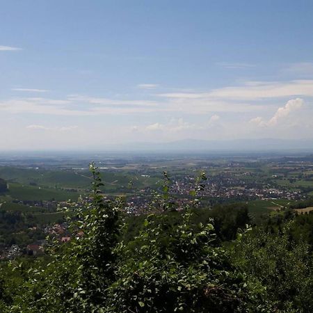 Ferienwohnung Birkental Ebringen エクステリア 写真