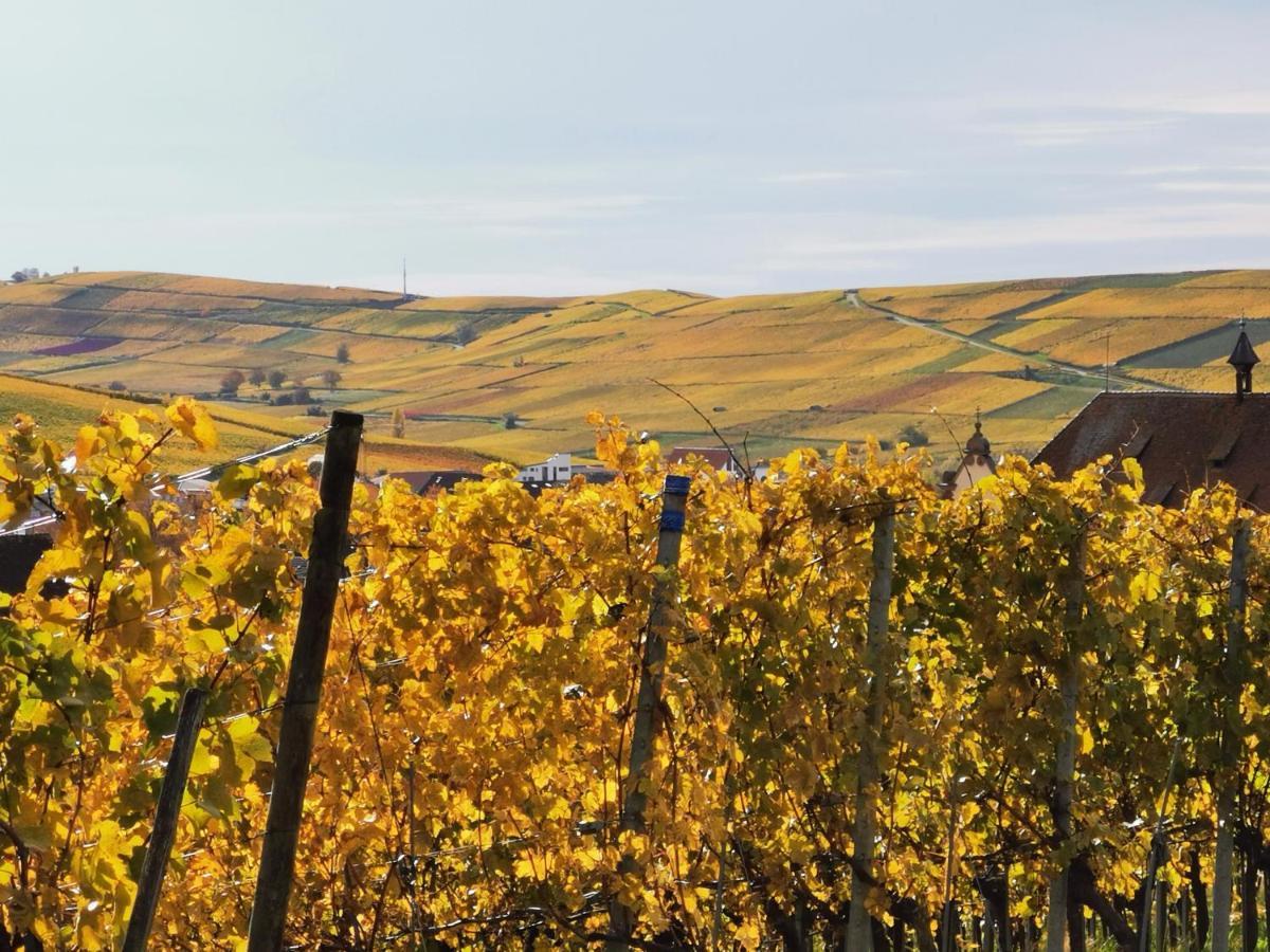 Ferienwohnung Birkental Ebringen エクステリア 写真