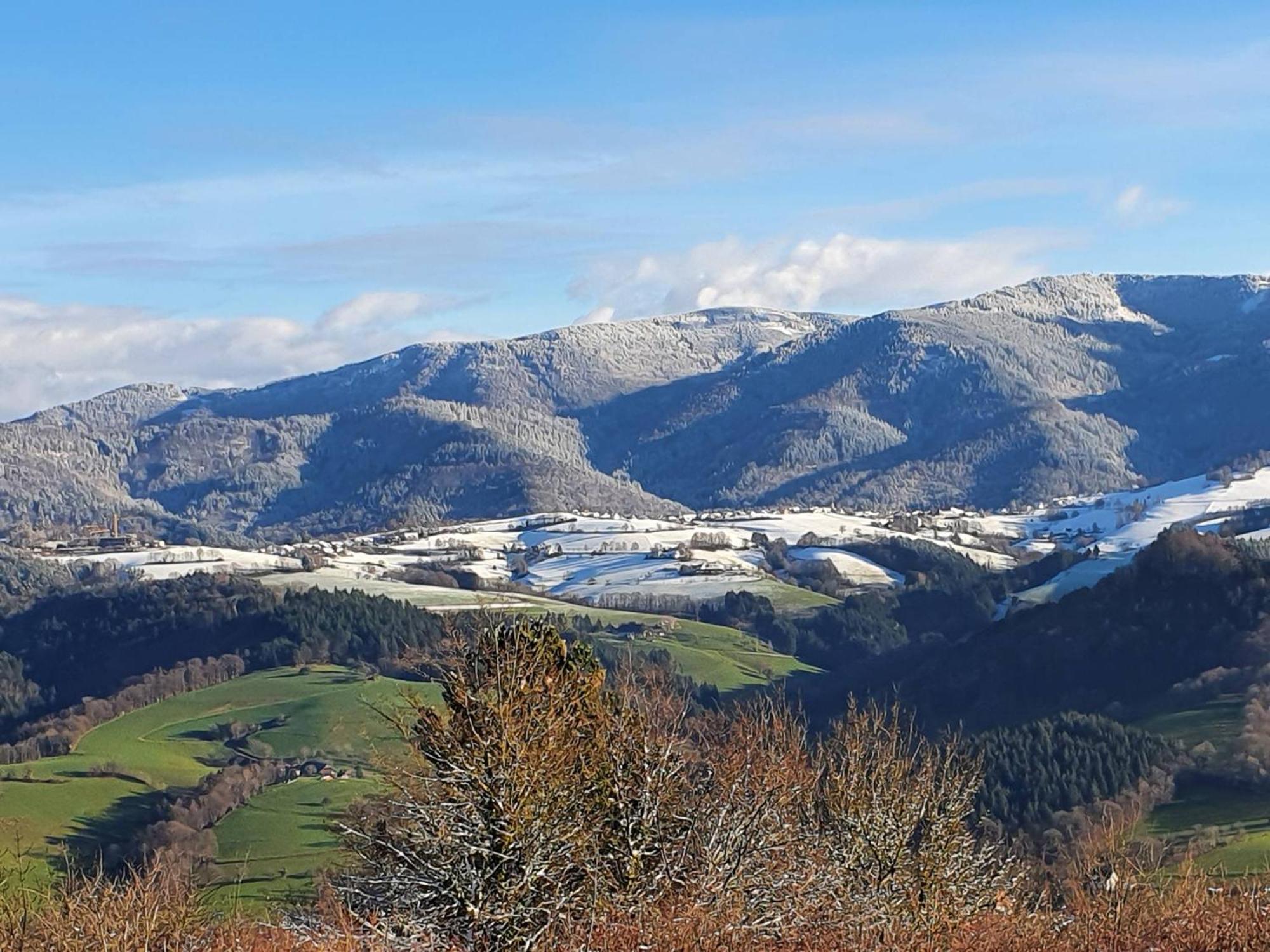 Ferienwohnung Birkental Ebringen エクステリア 写真