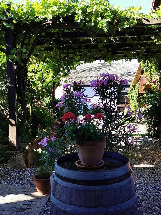 Ferienwohnung Birkental Ebringen エクステリア 写真