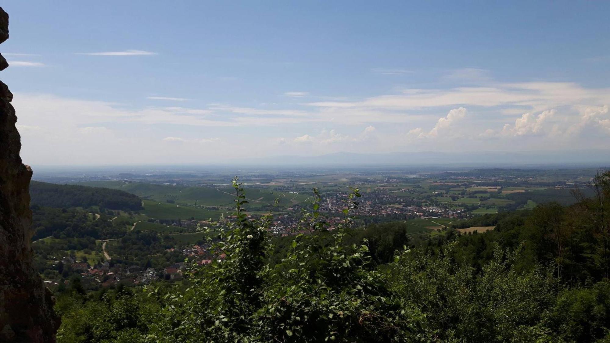 Ferienwohnung Birkental Ebringen エクステリア 写真